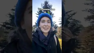 Christmas Tree ID! 🎄