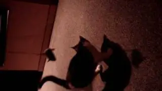 IGRAINE HAVING FUN