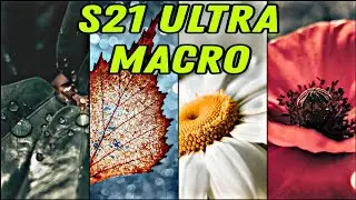 SAMSUNG S21 ULTRA MACRO PHOTOS + LIGHTROOM EDITION