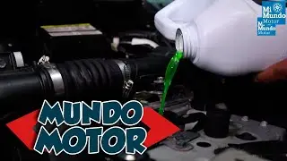 Aprende a cambiar el anticongelante de tu vehículo