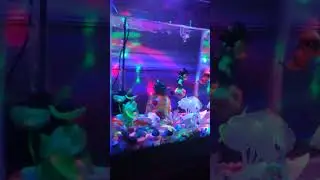 Goku ft. spongebob house aquarium