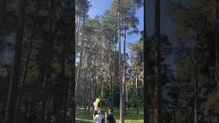 Шарики полетели-полетели. Первый школьный день.