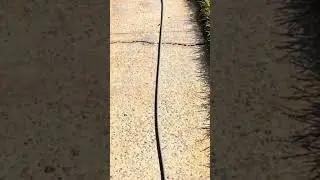Concrete Pressure Washing Results - 15