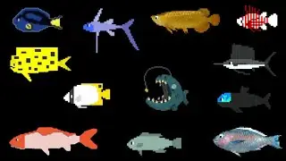 Fish 2 - @TheKidsPictureShow 