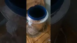 Размножение ЭМ препарата на основе курунги