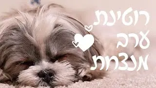 רוטינת ערב מנצחת