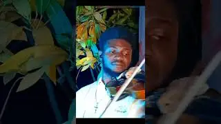 Experience - Ludovico Einaudi - Violin Cover By ItsNightingale #shorts