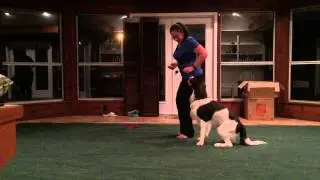 Cupid shuffle 5-24-15