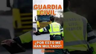 😠"¿Por esto me han multado?" Polémica multa de la Guardia Civil #camion #polemica #multa #parati