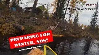 I LIVE ALONE IN THE WILD FOREST. IT IS NECESSARY TO GET GAME IN THE SIBERIAN TAIGA...