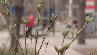 Чем удивит нас апрель?