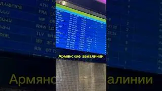 Армянские авиалинии. Часть 1. #путешествия #tiktok #рекомендации #reels #армения #самолет