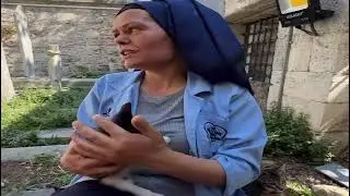 Unbelievable Secret Kitten Nursery in Cemetery! The Truth About Cats in Istanbul