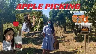 APPLE PICKING EXPERIENCE IN AMERICA