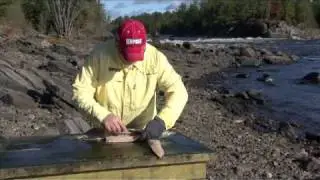 Filleting Pike Technique - boneless pike fillets