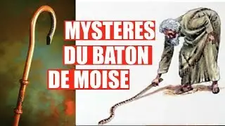 La Signification du bâton de Moïse transformé en serpent⚠️DE TRES GRANDES RÉVÉLATIONS!