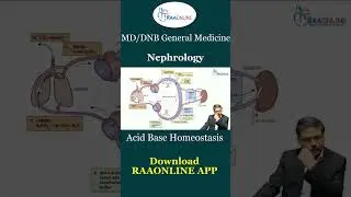 Acid Base Homeostasis