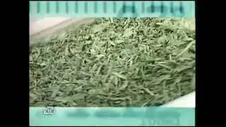 Гепатрин Эвалар:спонсор рубрики программы "Без р."([Канал на букву Н,которую нельзя упоминать],2009)