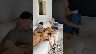 @AdventuringWithNala I’m not the blonde he wanted #dogs #dogcomedy