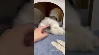 Bunny butt 🐰🍑