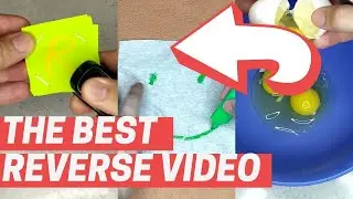THE BEST REVERS VIDEO You Have Not Seen This