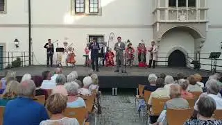 Австрия елінің Вельс қаласында   2