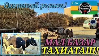 🐄МАЛ БАЗАР🐄 СКОТНЫЙ РЫНОК 