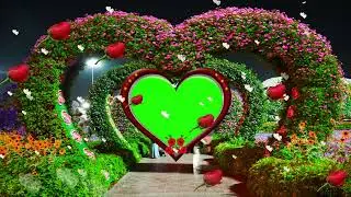 wedding green screen effects HD Video 256 3D Dil green screen effects 2023