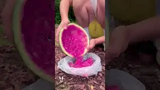 ✅A survival lifehack using watermelon.😱 