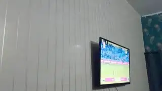 Pakistani fans reaction after winning from India T20 world cup 2021