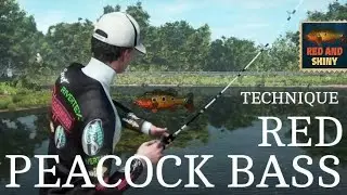 🎣Fishing Planet 🇧🇴Unique Red Peacock Bass - Marron River-Red And Shiny Competition