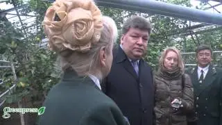 Лимонарий в Уфе