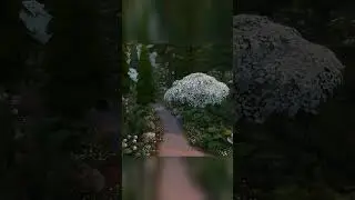 Forest Wedding Venue / The Sims 4 / no cc  