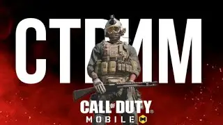 ВОСКРЕСНЫЙ СТРИМ В CALL OF DUTY MOBILE! ЧИЛИМ И ИГРАЕМ!