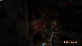 A Friendly Nosalis