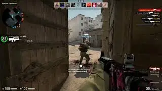 Dante CS:GO Live Stream