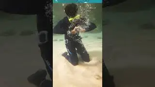 Aquatic Gallery, Science City, Ahmedabad