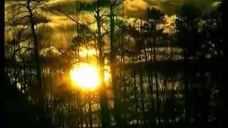 ~ О каханьне маё бясконцае ~