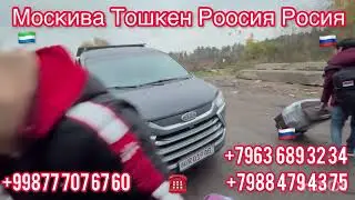 Москива тошкен росия узбекиста +79884794325