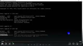 GG Reporting Commands