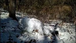 Маскировочный костюм гили Зима 