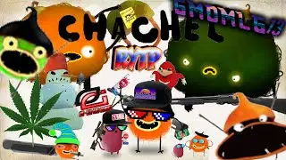 Chachel RYTP