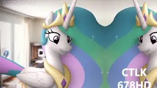 Veg Replace Tennis Celestia's Precious Cake MLP in real life Rounds