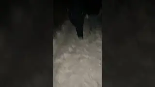 Walking in cold dark snowy Alaska mountain spooky