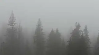 Уван в облаке