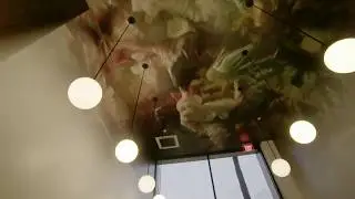Stereosope Cafe Teaser