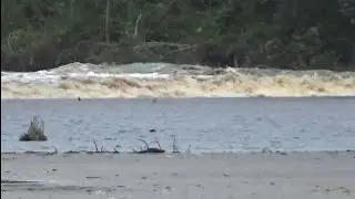 A NATURAL PHENOMENON HAPPENED AGAIN, WITNESSED BY MANY PEOPLE