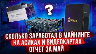 СКОЛЬКО МОЖНО ЗАРАБОТАТЬ В МАЙНИНГЕ НА АСИКАХ И ВИДЕОКАРТАХ | ХАЛВИНГ БИТКОИНА УДАРИЛ ПО КАРМАНУ