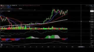 BITCOIN: All Time Highs Looming?