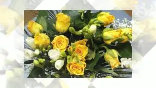 animoto 720p54